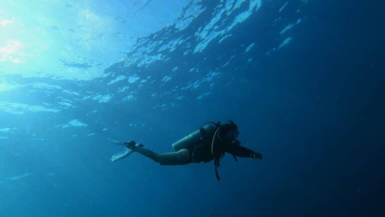 PYX4 - Comment identifier les processus clés à améliorer en priorité