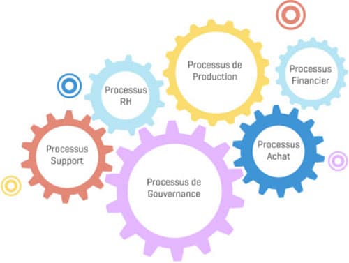 PYX4 - Représentation d'une vision transverse entre tous les processus de l'entreprise lors d'une démarche d'amélioration continue
