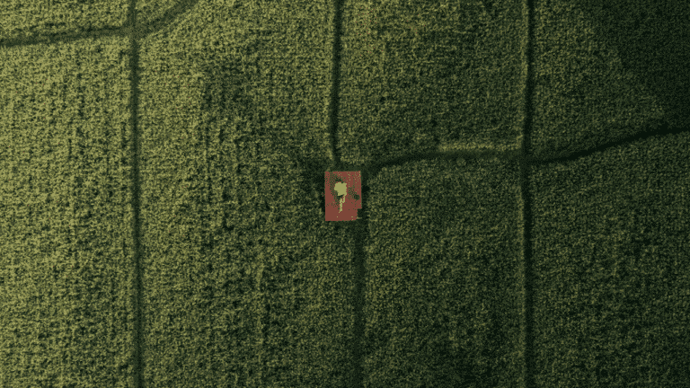 PYX4 - Simplifier son organisation pour gagner en performance rôle de la Direction