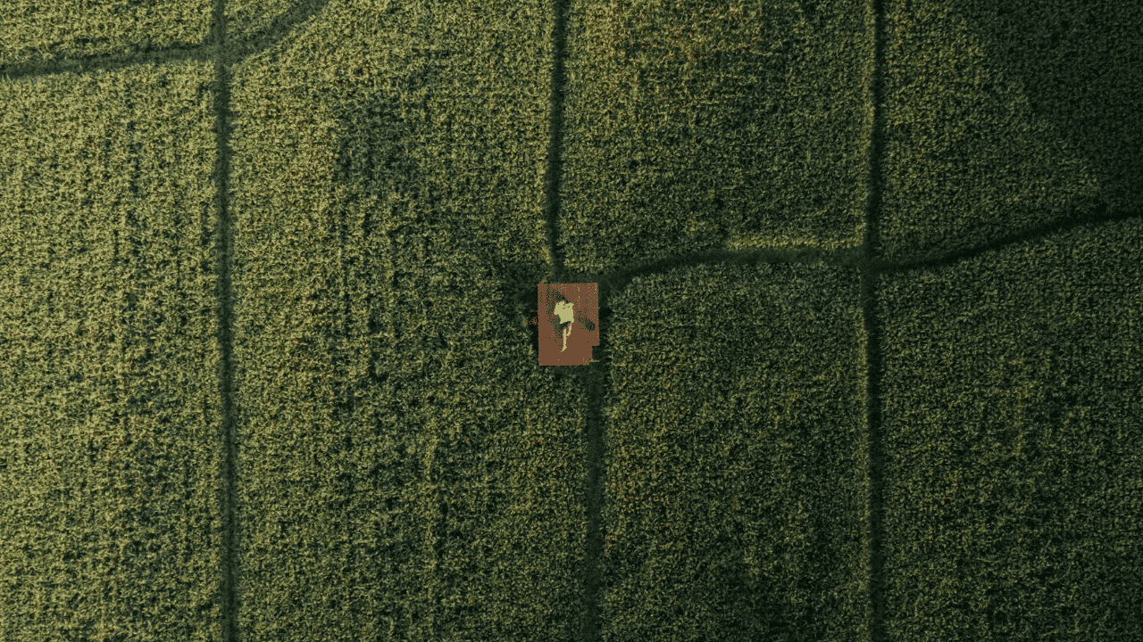 PYX4 - Simplifier son organisation pour gagner en performance rôle de la Direction