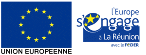 PYX4 - logo de l'Union Européenne et du FEDER