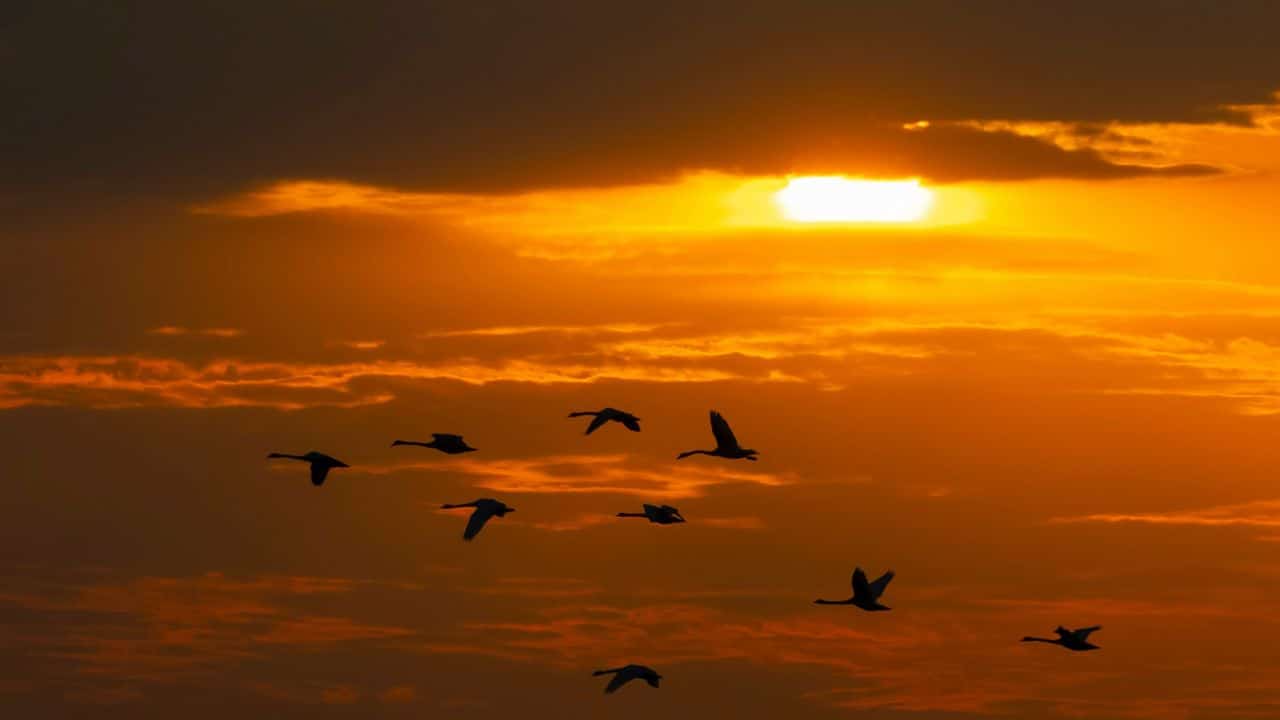 PYX4 - Place de la gestion des risques dans le secteur public