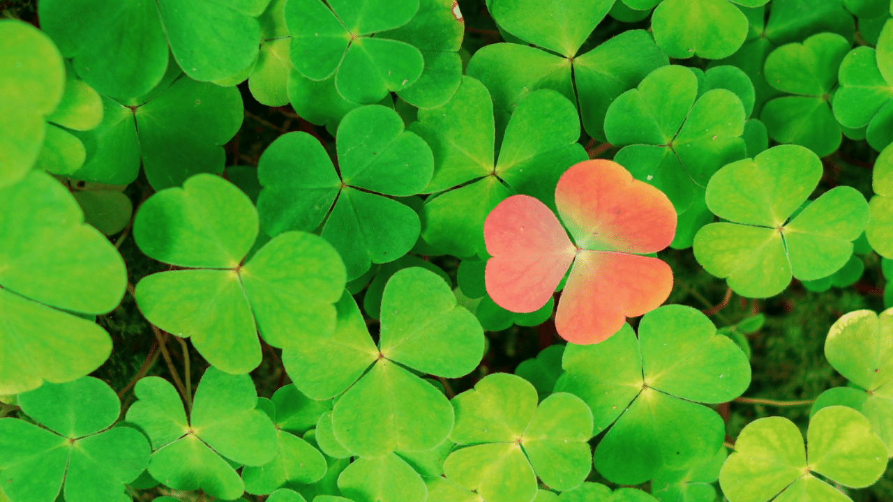 PYX4 - Mettre en place une démarche processus et conduire le changement