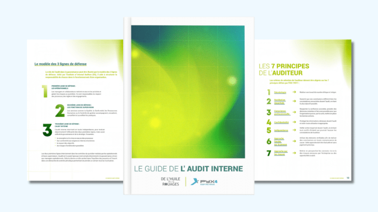 PYX4 - Guide de l'audit Interne